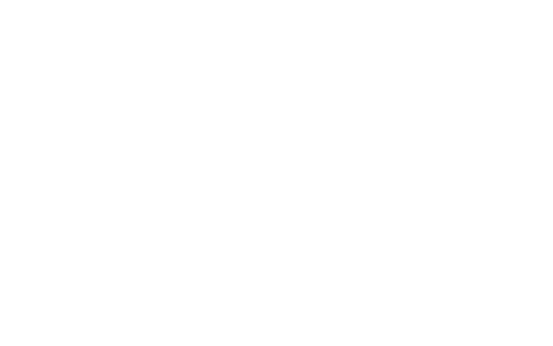 pegasus